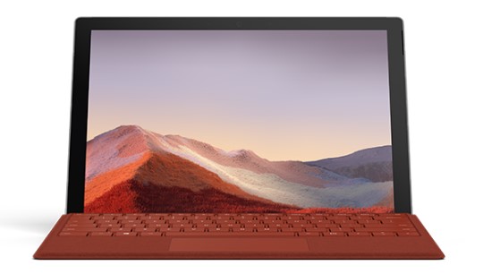 桃源清洁和维护 Surface